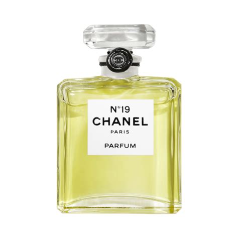 chanel n19 prezzo|Chanel no 19 perfume.